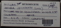 Image Associated With the Occurence